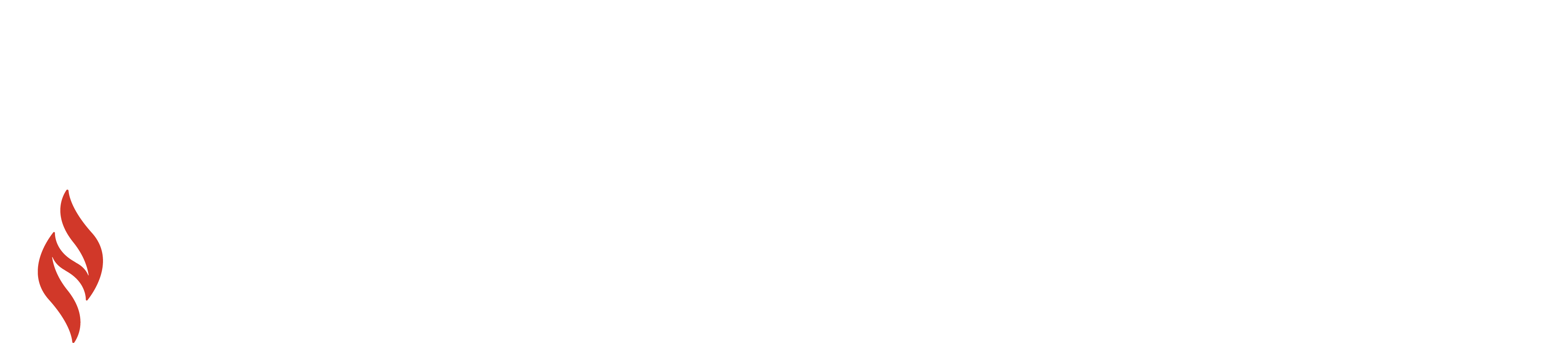 ANCC-Magnet-Recognition-Rev