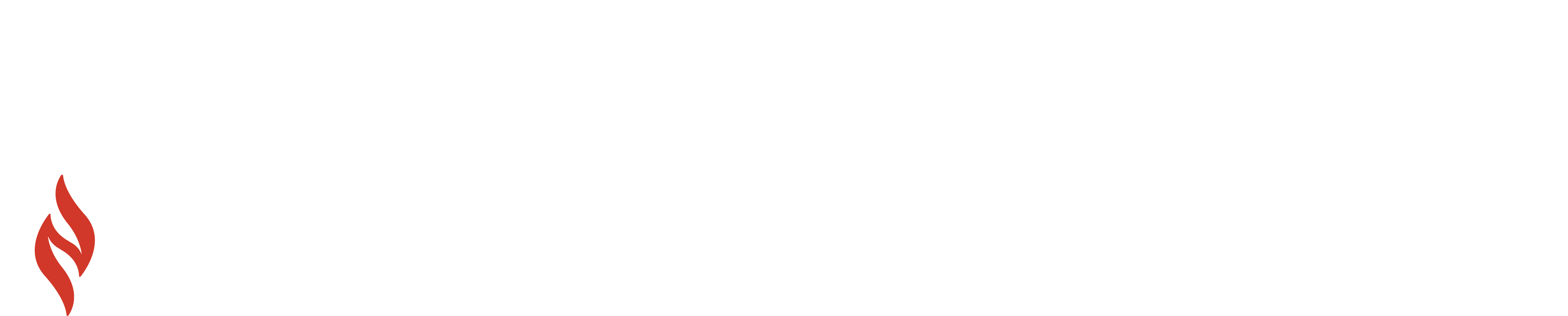 ANCC-Well-Being-Excellence-Rev